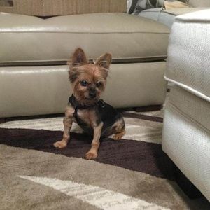 Meet your Posher, Claire